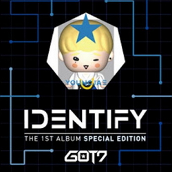 GOT7(갓세븐) - IDENTIFY: USB ALBUM [영재]