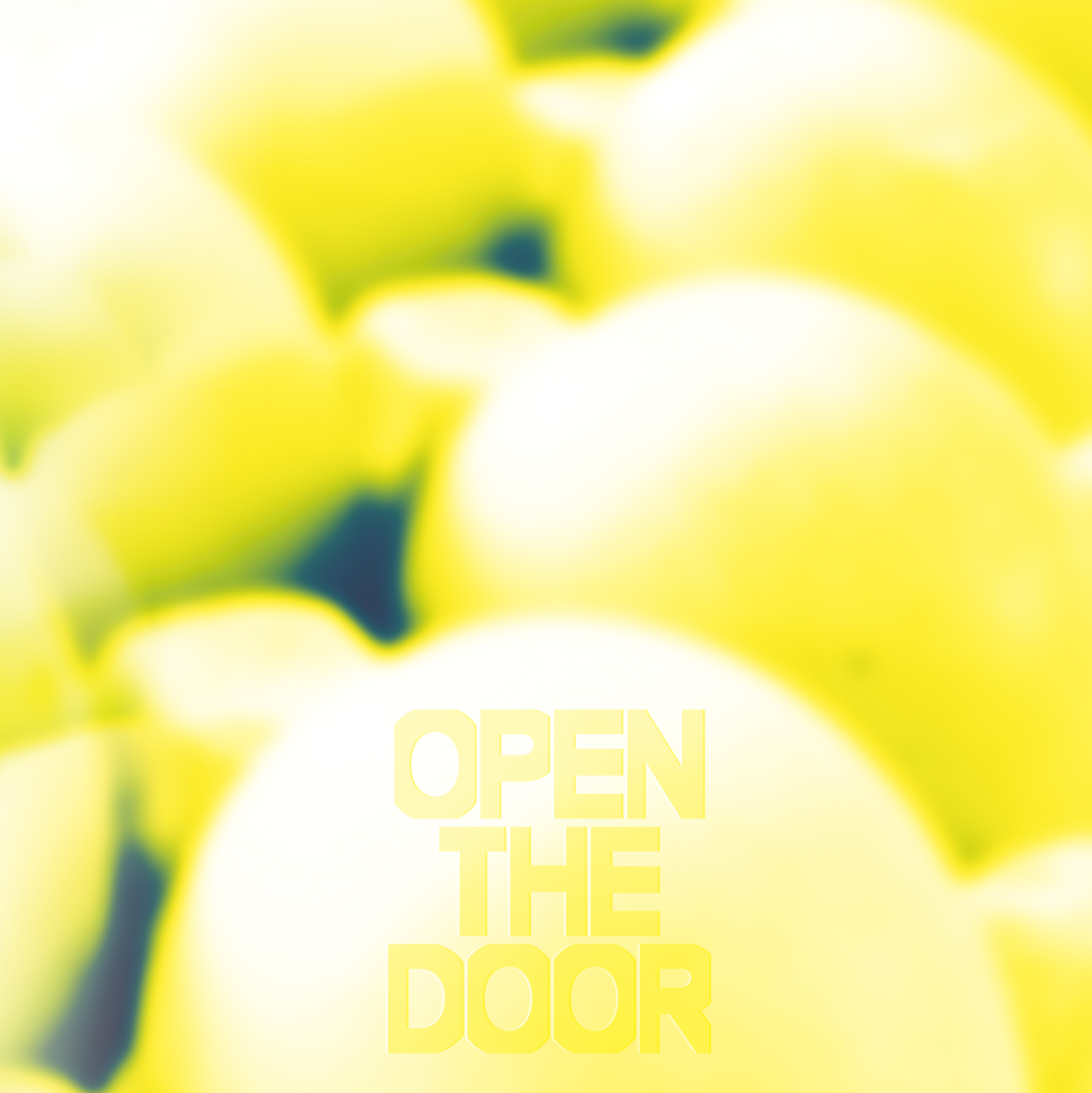 V.A - OPEN THE DOOR [LP/VINYL]